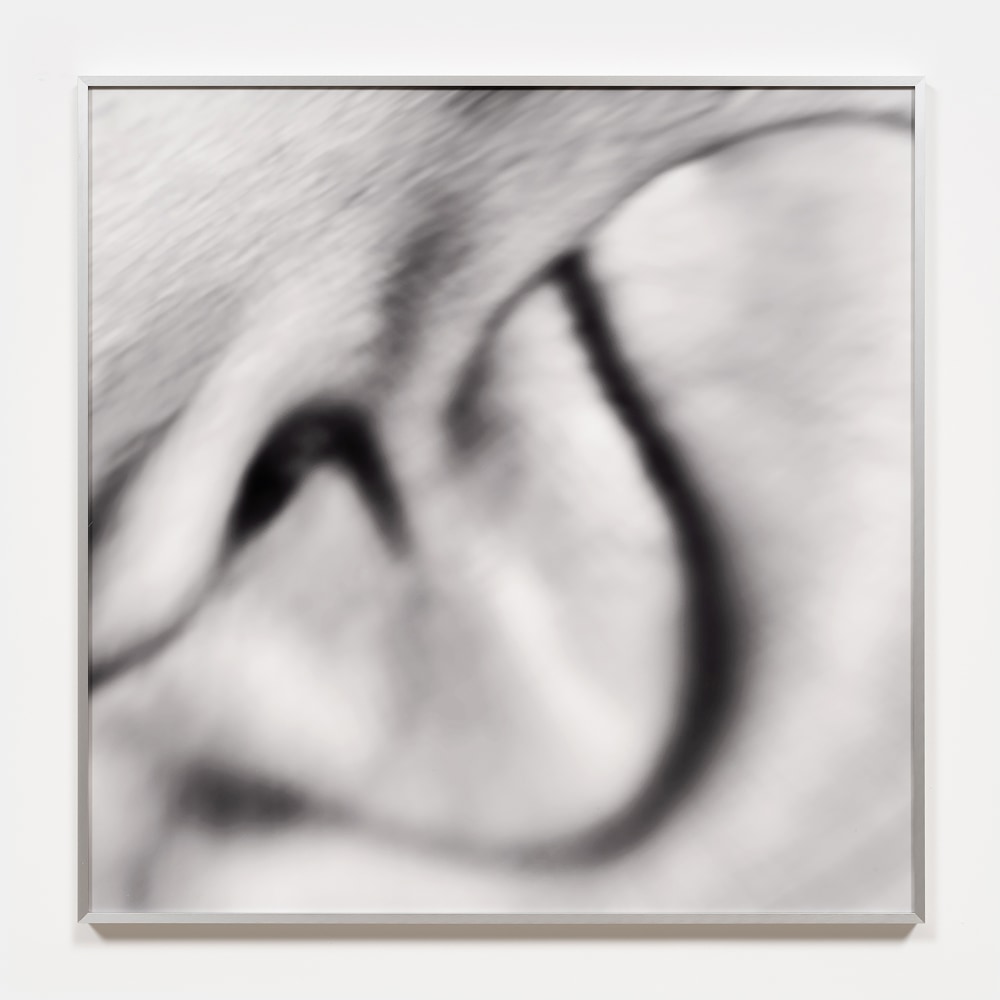 Nikita Gale

NOSEBLEED 13

2024

C-print on Canson Baryta paper mounted on Sintra

30.25 x 30.25 x 1.25 inches

76.8 x 76.8 x 3.2 cm

Edition of 3, 2 AP

(NG 24/033)