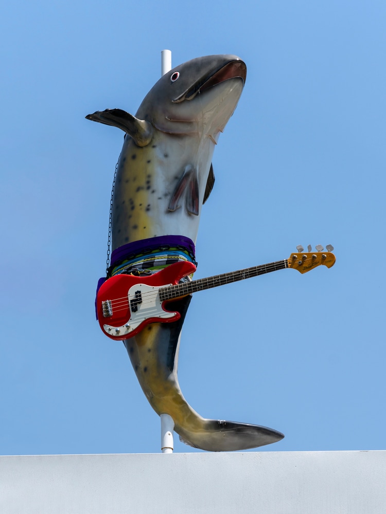 Cosima von Bonin

WHAT IF THEY BARK 04

2022

Glass reinforced plastic, guitar, fabric, chains, and steel stand

70.9 x 47.2 x 39.4 inches

180 x 120 x 100 cm