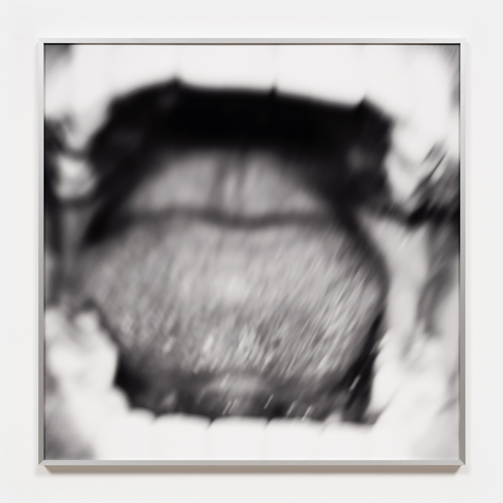 Nikita Gale

NOSEBLEED 12

2024

C-print on Canson Baryta paper mounted on Sintra

30.25 x 30.25 x 1.25 inches

76.8 x 76.8 x 3.2 cm

Edition of 3, 2 AP

(NG 24/033)