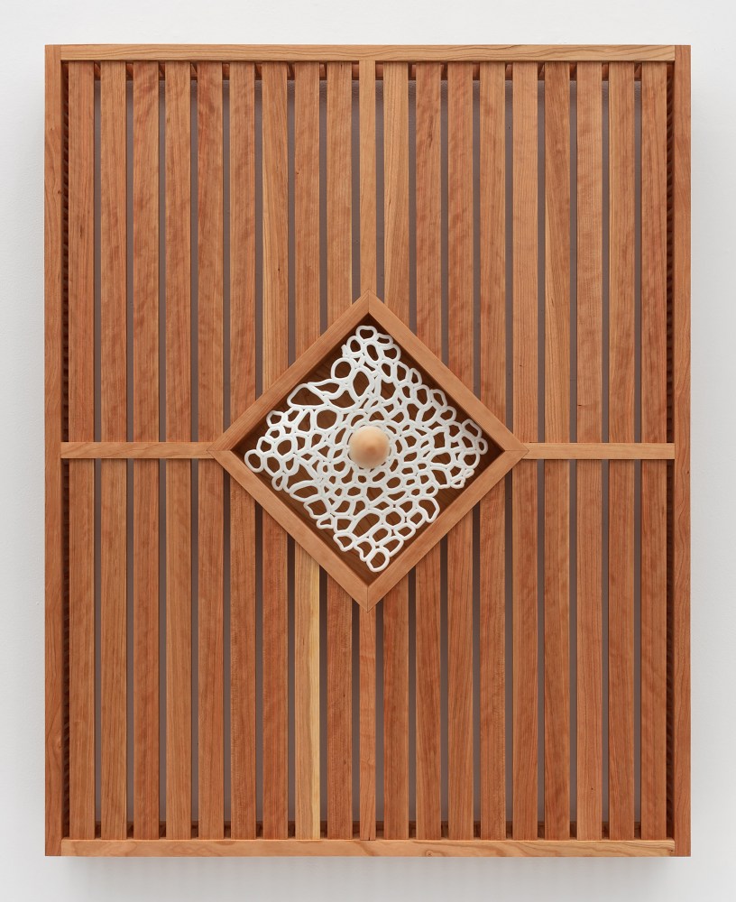 Anicka Yi

Edge of Embryology

2022

Cherry wood, teak oil, resin, acrylic paint

50 x 40 x 5.5 inches

127 x 101.6 x 14 cm

(FP 23/050)