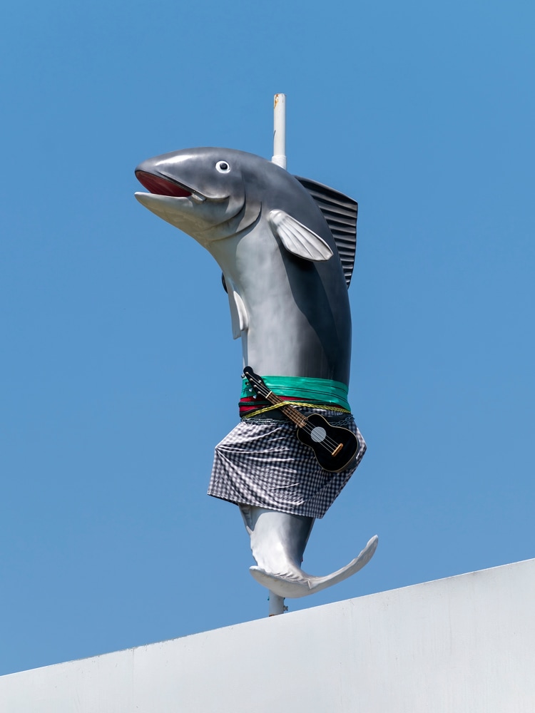 Cosima von Bonin

WHAT IF THEY BARK 05

2022

Glass reinforced plastic, ukulele, fabric, chains, and steel stand

70.9 x 19.7 x 39.4 inches

180 x 50 x 100 cm