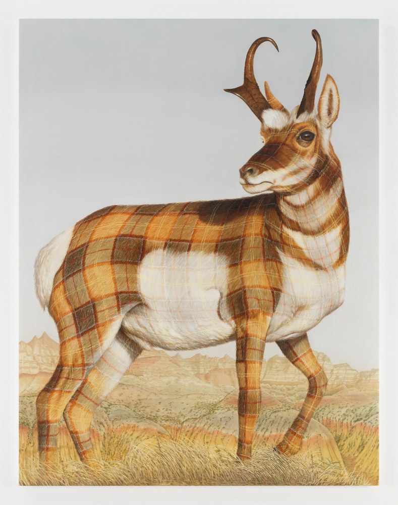 Sean Landers

Prong Horn

2015

Oil on linen

65 x 50 inches

165.1 x 127 cm

(LS 15/013)