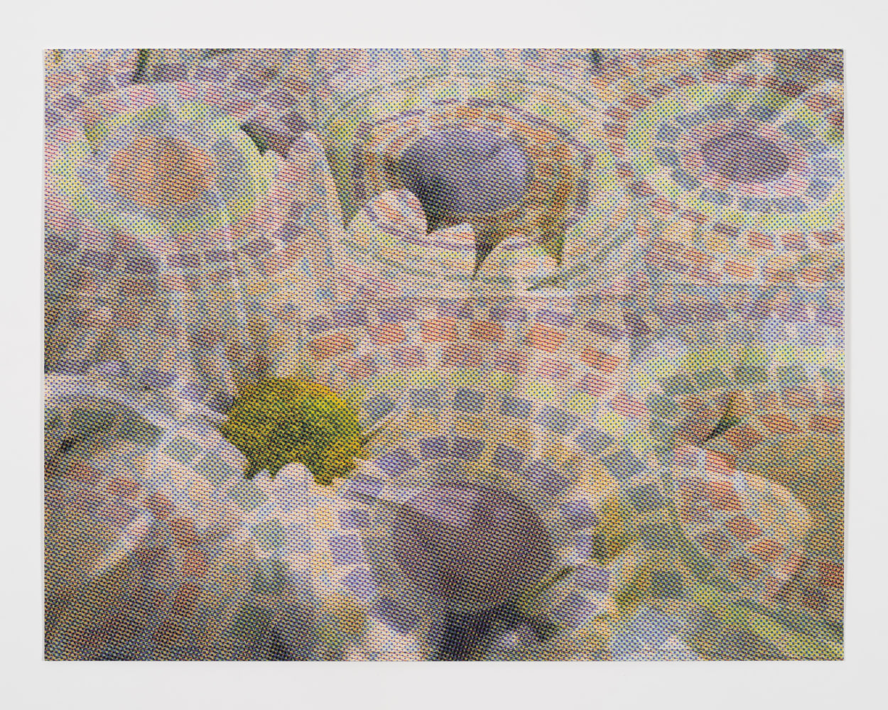 Jorge Pardo

Untitled

2023

4 color silkscreen and inkjet on Arches 88 paper

18 x 23.5 inches / 45.8 x 59.8 cm

Signed, Edition of 15, 2 AP

(JP 23/012)