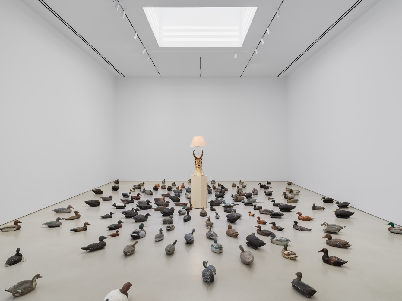 Rodney McMillian

Beacon: Comrades, Don&amp;#39;t Be Fooled

2022

Lamp, decoy ducks, pedestal, circuit board

Dimensions Variable