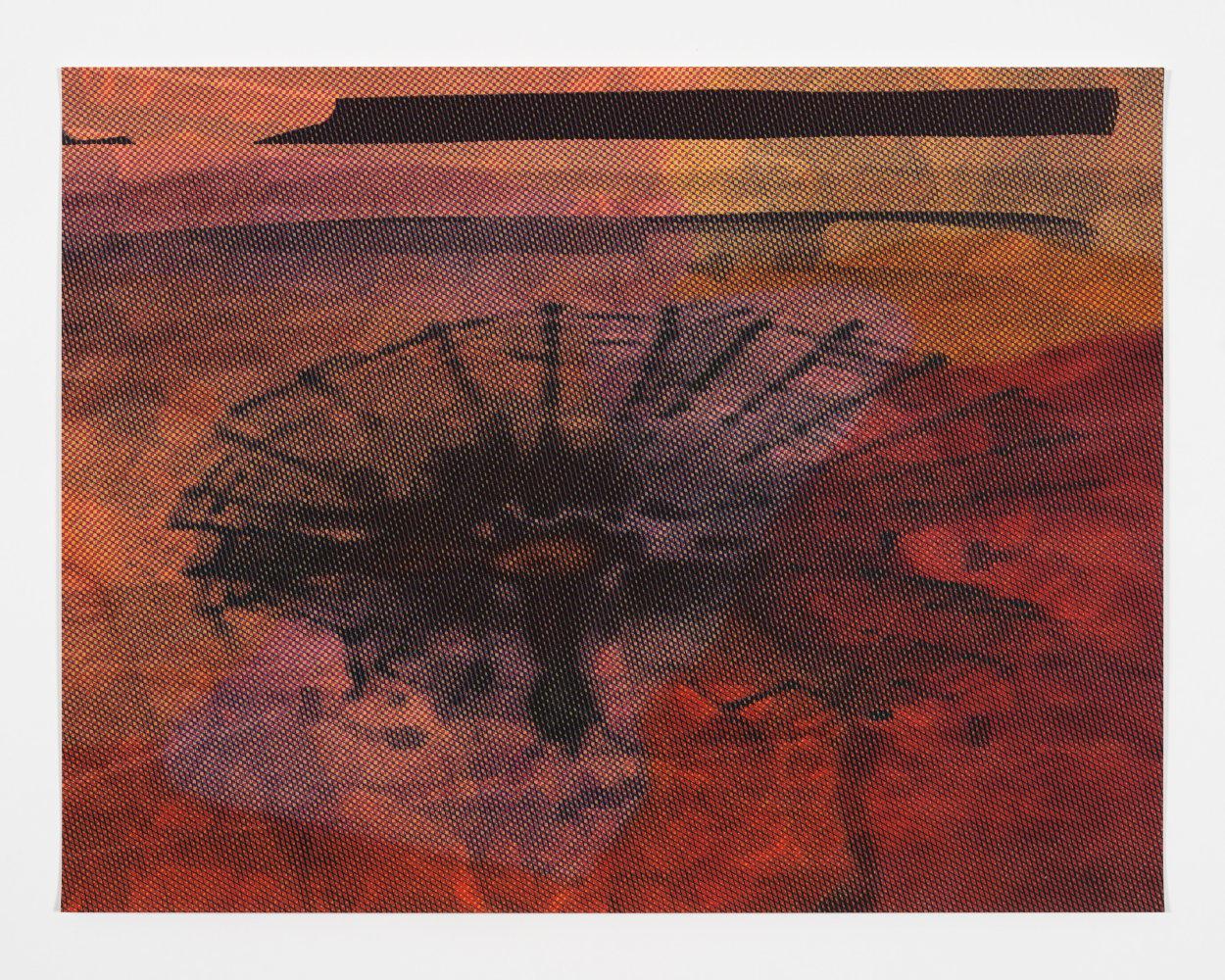 Jorge Pardo

Untitled

2023

4 color silkscreen and inkjet on Arches 88 paper

18 x 23.5 inches / 45.8 x 59.8 cm

Signed, Edition of 15, 2 AP

(JP 23/006)