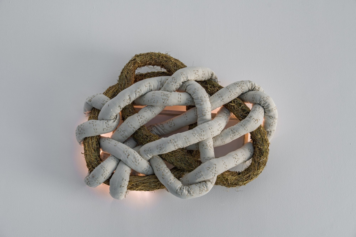Victoria Zidaru

Tronurilor, 2025

embroidery on canvas with a vegetable core and luminous insert

19 1/2 x 35 1/2 x 10 in
50 x 90 x 25 cm