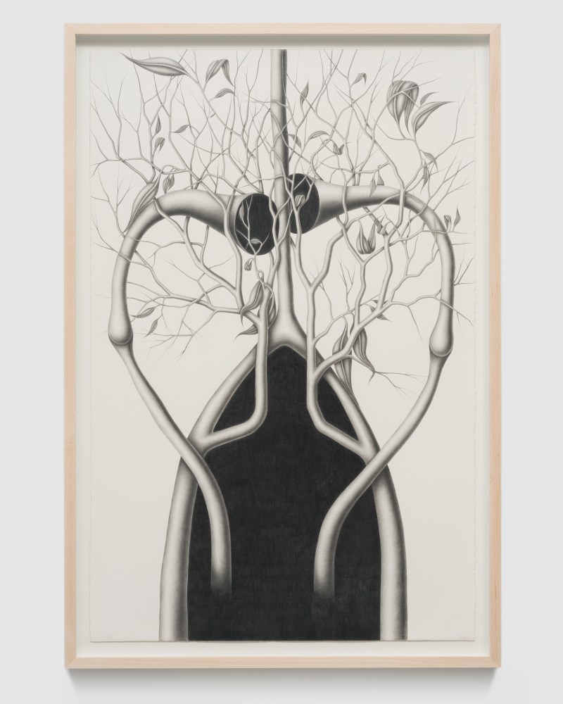 Devra&amp;nbsp;Fox

Wishbone, 2023

graphite on paper

40h x 26w in

101.60h x 66.04w cm