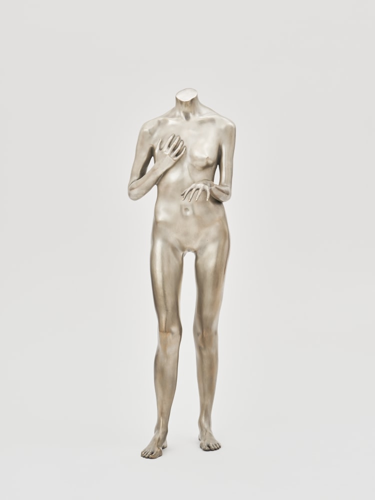 Isabelle Albuquerque

The Left Hand of Darkness, 2024

bronze, silver nitrate

sculpture: 31 x 10 x 12 in
78.7 x 25.4 x 30.5 cm

Ed. 1/3 + 2AP
