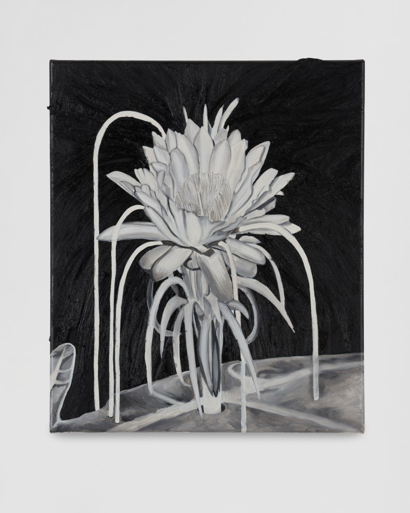 Chloe&amp;nbsp;Sa&amp;iuml; Breil-Dupont

A Flower, 2023-2024

oil, wax and resin on canvas

47h x 40w cm

18h x 16w in