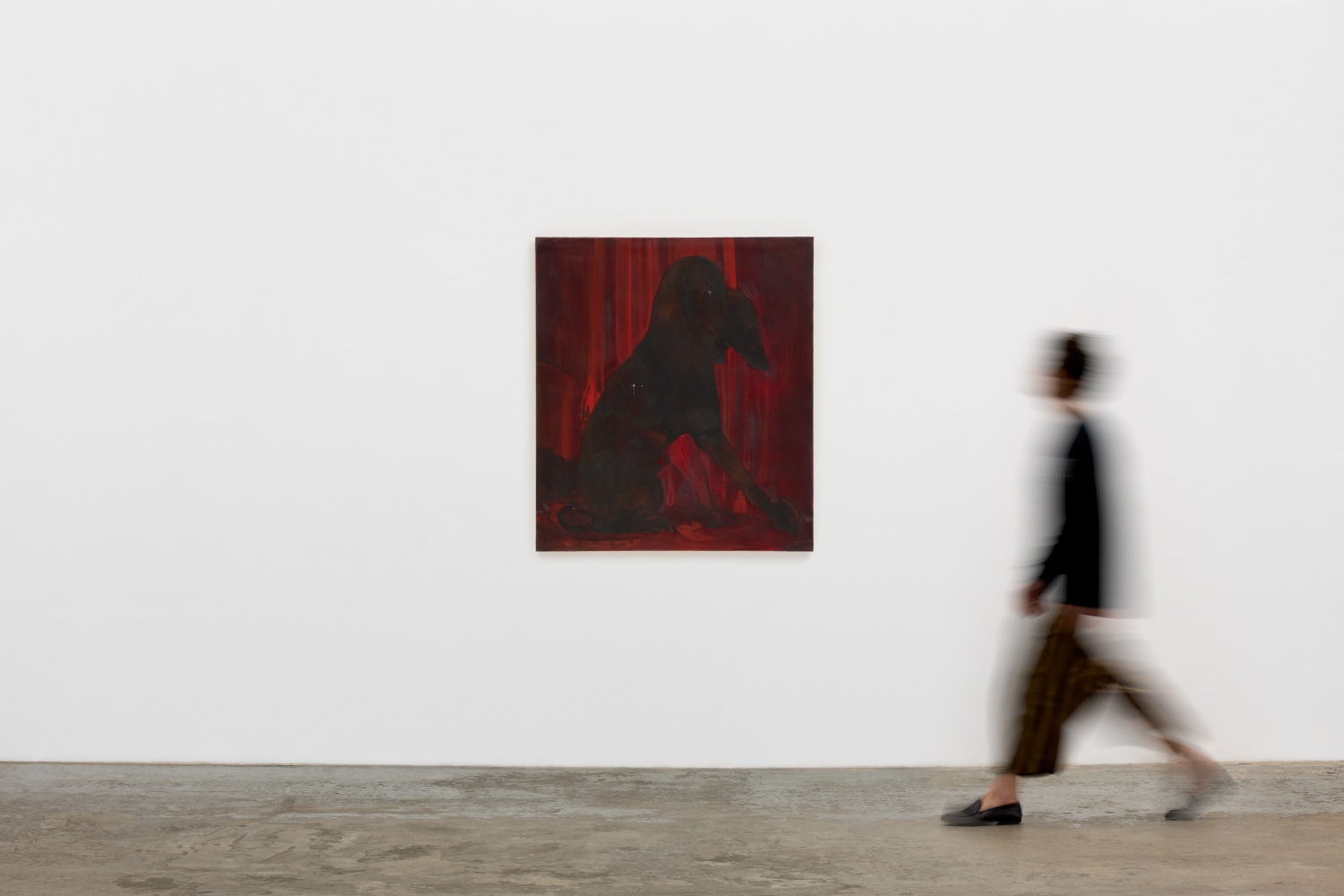 Rae Klein

Double Dog and Red Curtain, 2022

(scale view)