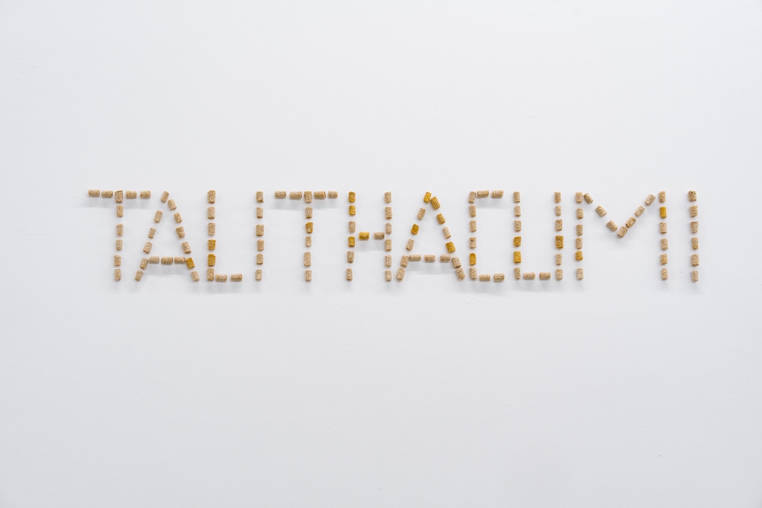 Victoria Zidaru

Talithacumi, 2025

plant material

19 1/2 x 98 1/2 in
50 x 250 cm