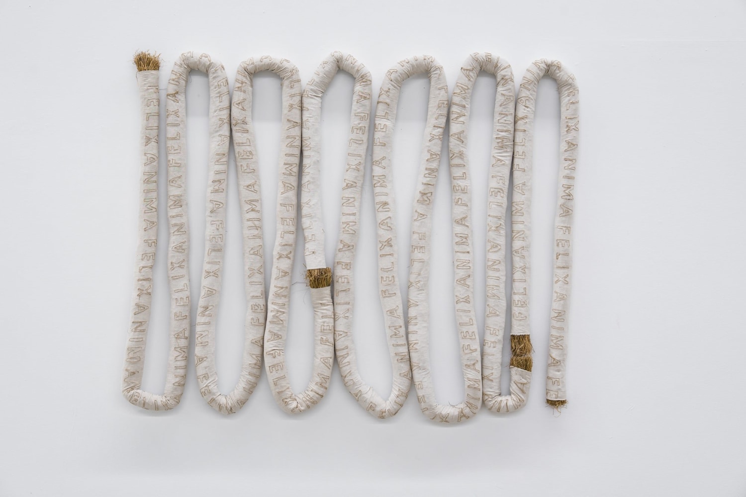 Victoria Zidaru

Din ciclul celor 7 trasee ale creației, 2025

embroidery with hemp thread on home-woven canvas filled with plant material

80 1/2 x 63 in
205 x 160 cm