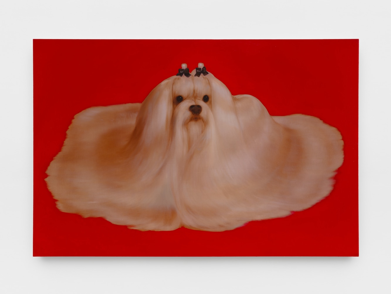 Rae Klein

White Dog, 2024

oil on linen

72 x 108 in
183 x 274 cm