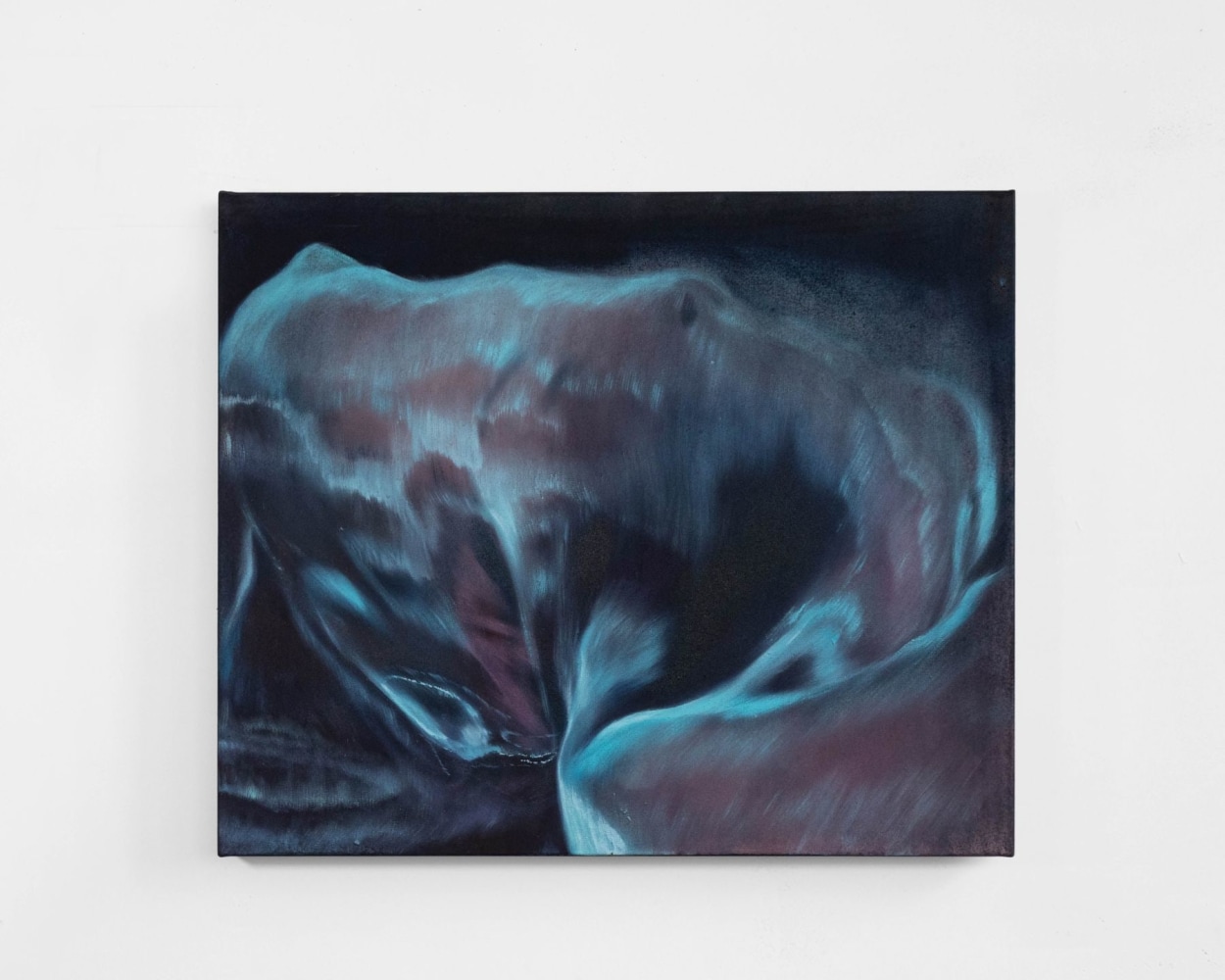 Liang&amp;nbsp;Fu

Aube, 2023

Pigment, oil on canvas

50h x 60w cm

19.69h x 23.62w in