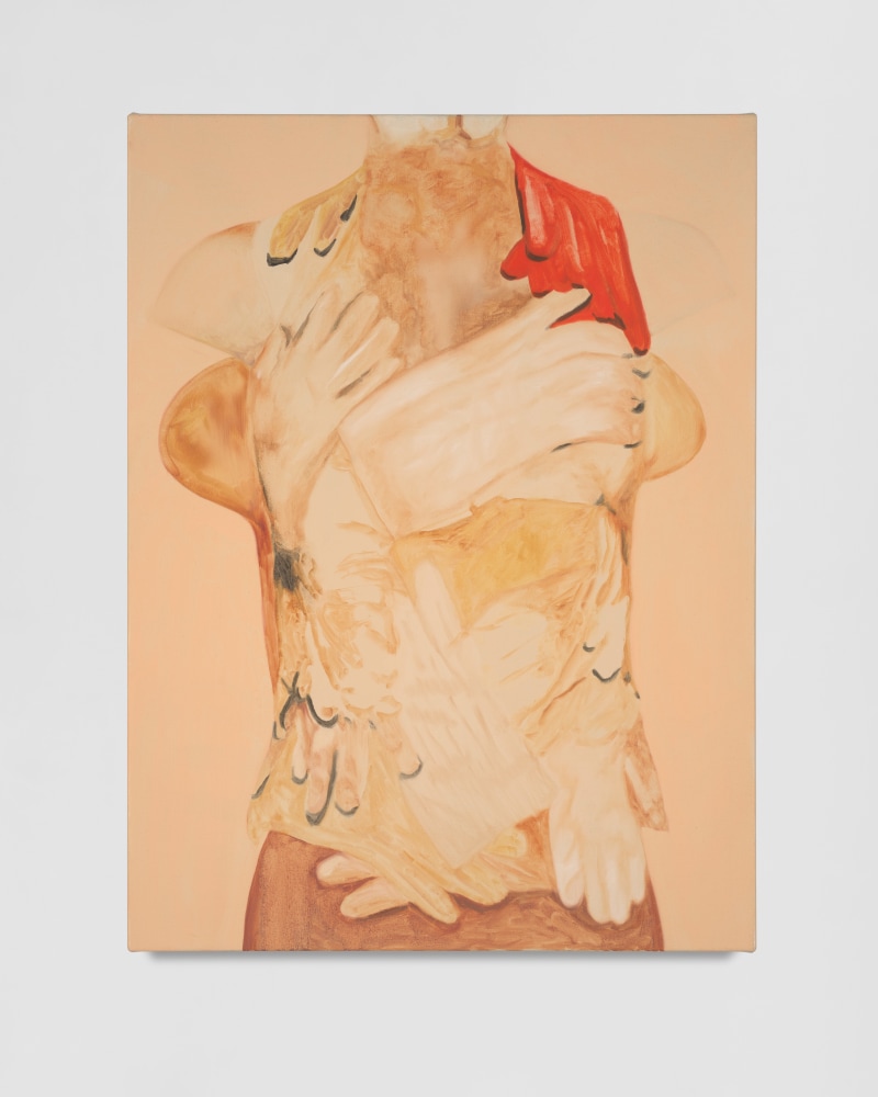 Emily&amp;nbsp;Ferguson

Warm Leatherette, 2024

oil on canvas

61h x 46w cm

24h x 18w in