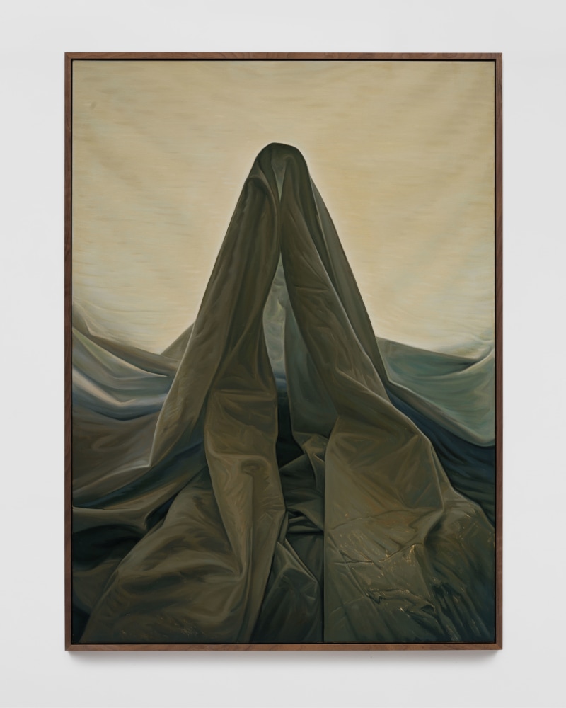 Niklas&amp;nbsp;Asker

The Shroud, 2023

oil on canvas

115h x 84w cm

45.28h x 33.07w in