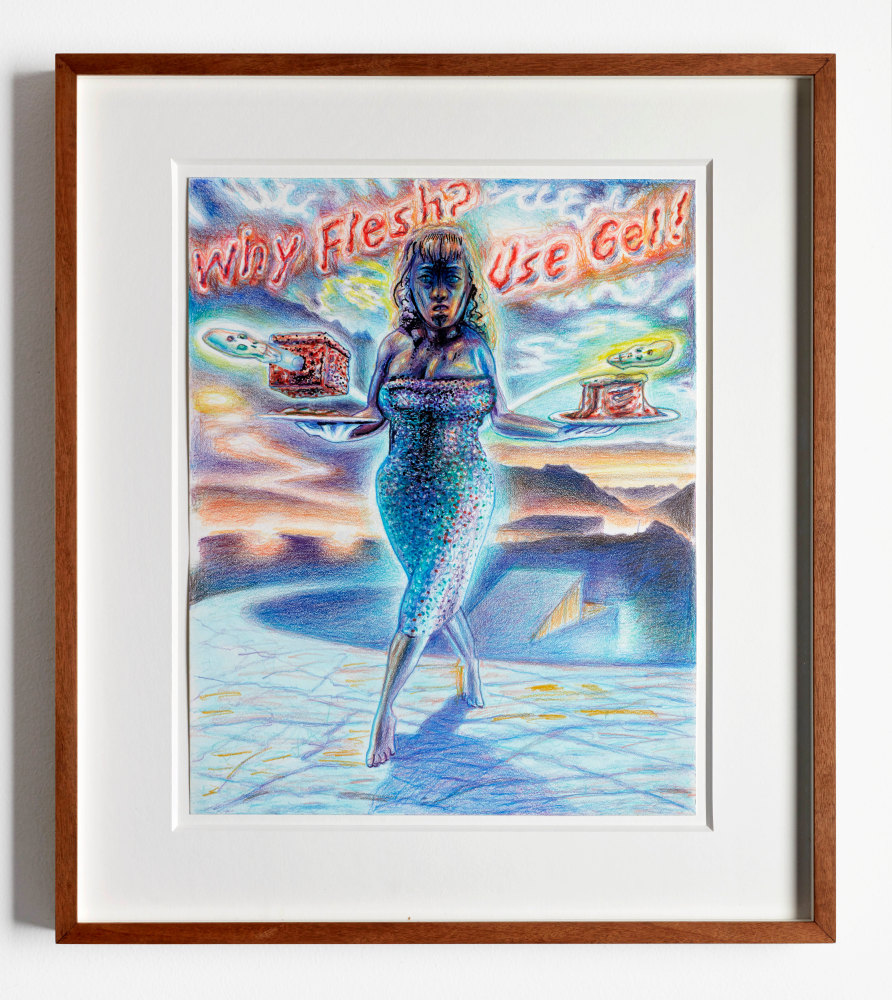 Robert Yarber

Why Flesh? Use Gel, 2013

colored pencil, pastel, ink on paper

14.0h x 11.0w in
35.5h x 28.0w cm