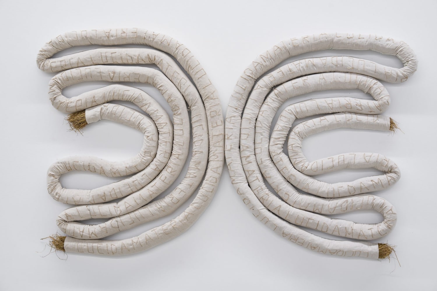 Victoria Zidaru

Din ciclul celor 7 trasee ale creației, 2025

embroidery with hemp thread on home-woven canvas filled with plant material

80 1/2 x 63 in
205 x 160 cm