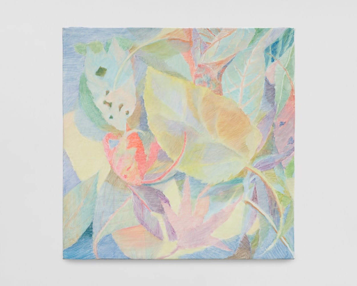 Yoora Lee

Glowing leaves, 2024

oil on linen

12.0h x 12.0w in
30.48h x 30.48w cm