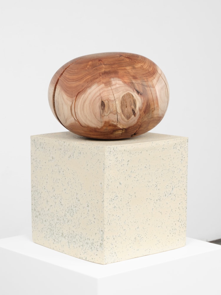 Jesse Schlesinger Solidity of bark, leaf, or wall, 2024 Glazed ceramic and acacia (salvaged) 20 x 12 x 12 inches 50.8 x 30.5 x 30.5 cm