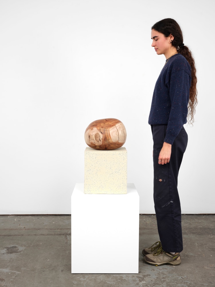 Jesse Schlesinger Solidity of bark, leaf, or wall, 2024 Glazed ceramic and acacia (salvaged) 20 x 12 x 12 inches 50.8 x 30.5 x 30.5 cm