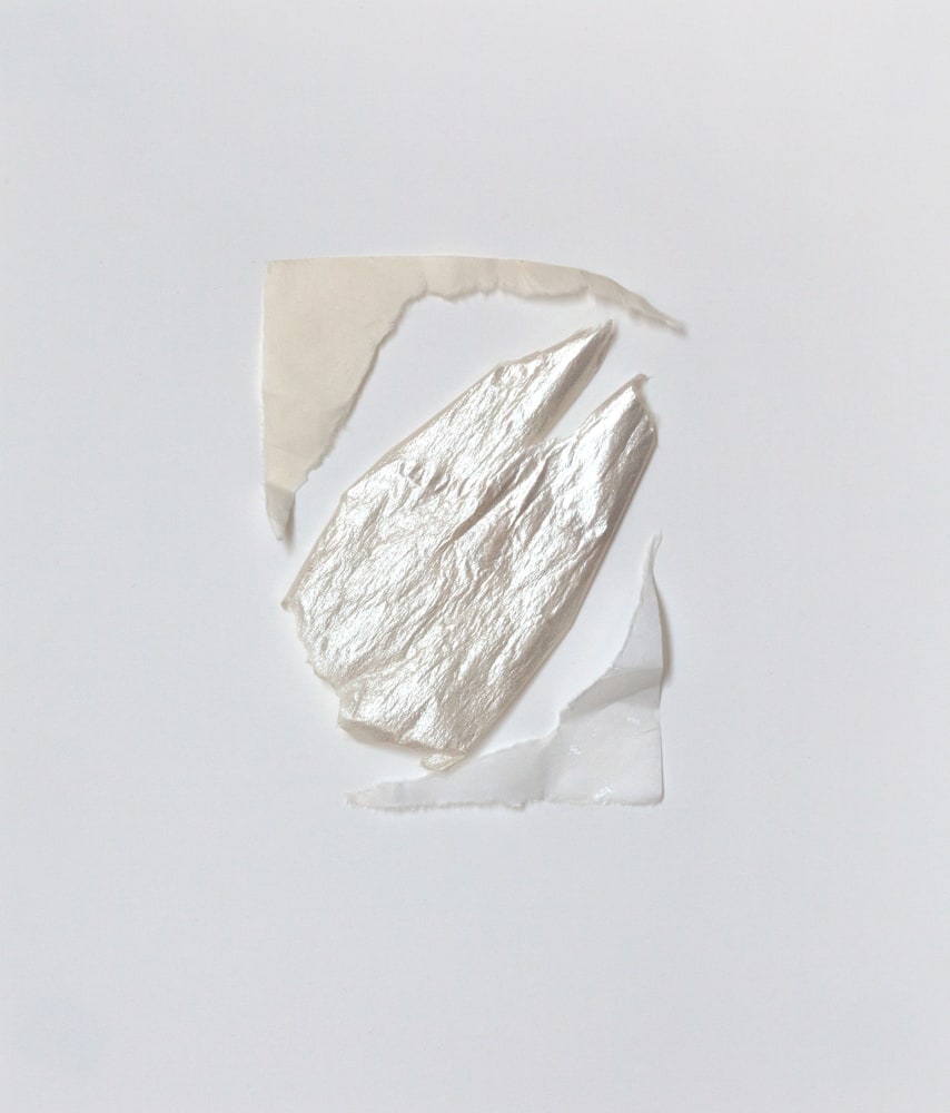 Rosana Castrillo Díaz, Untitled, 2014