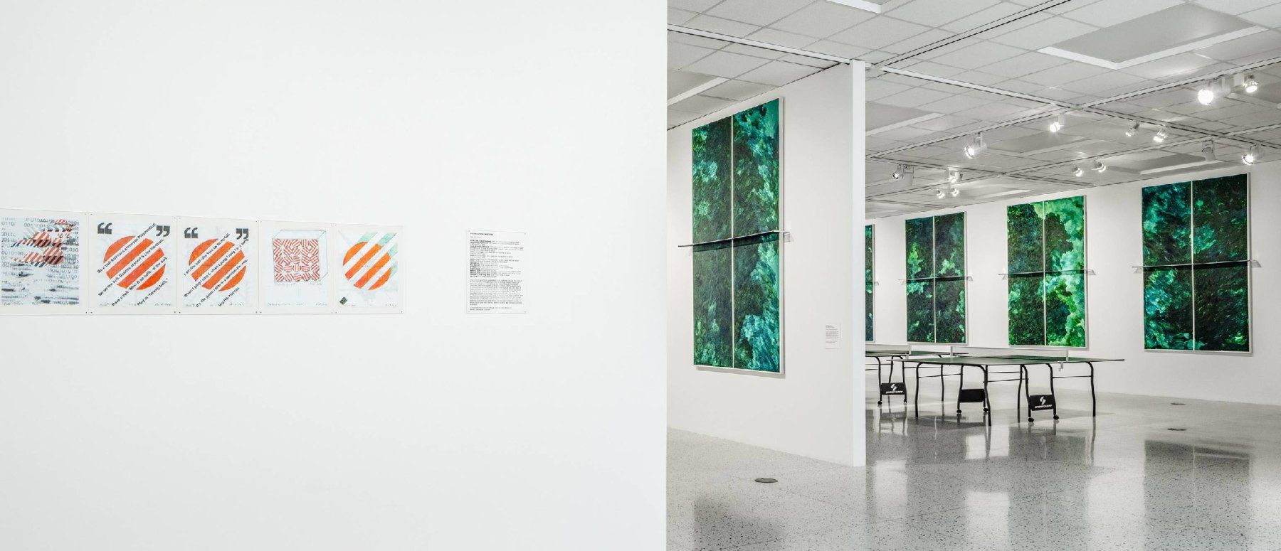 Barbara Stauffacher Solomon Breaking all the Rules at the Palm Springs Art Museum, 2019