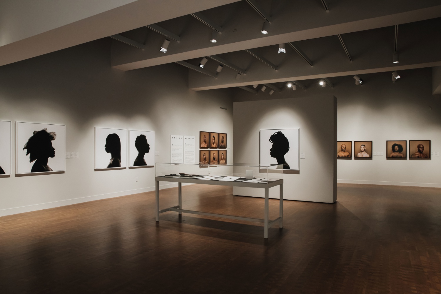 Erica Deeman Installation view of The Artist Speaks: Erica Deeman, 2018 Museum of Photographic Arts, San Diego, CA