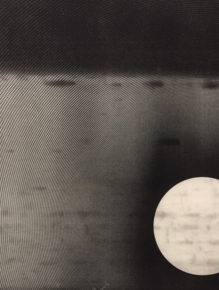 Marsha Cottrell, Untitled, 2017