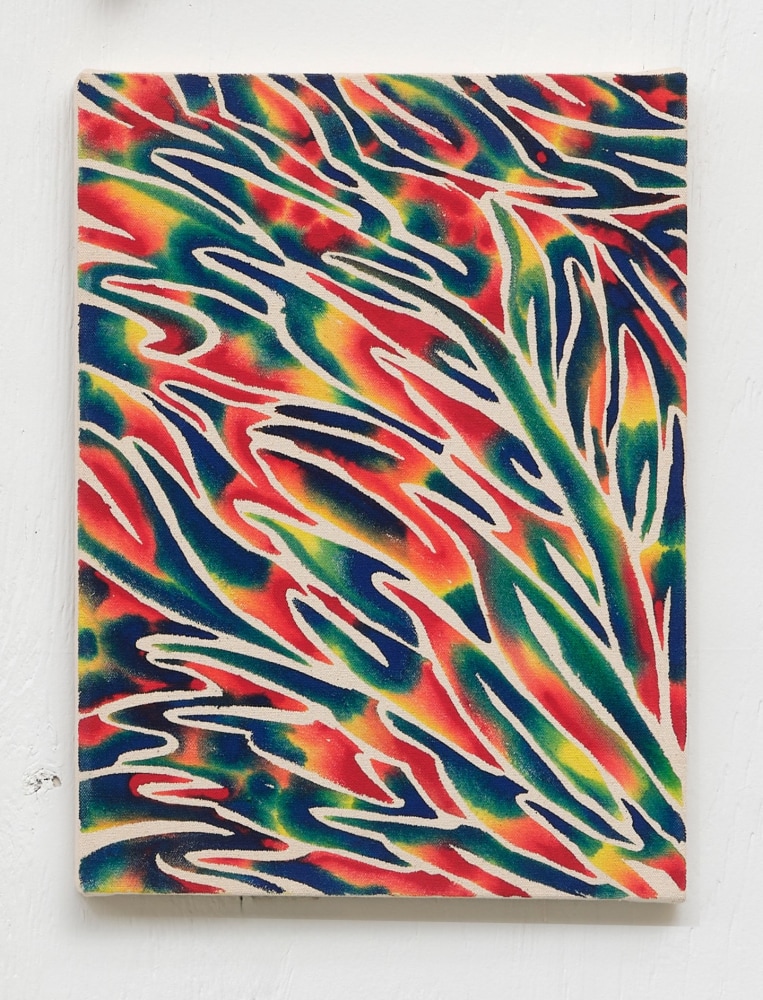 Saif Azzuz pa'a'eesh (fireweed), 2025 Acrylic on canvas 16 x 12 inches 40.6 x 30.5 cm
