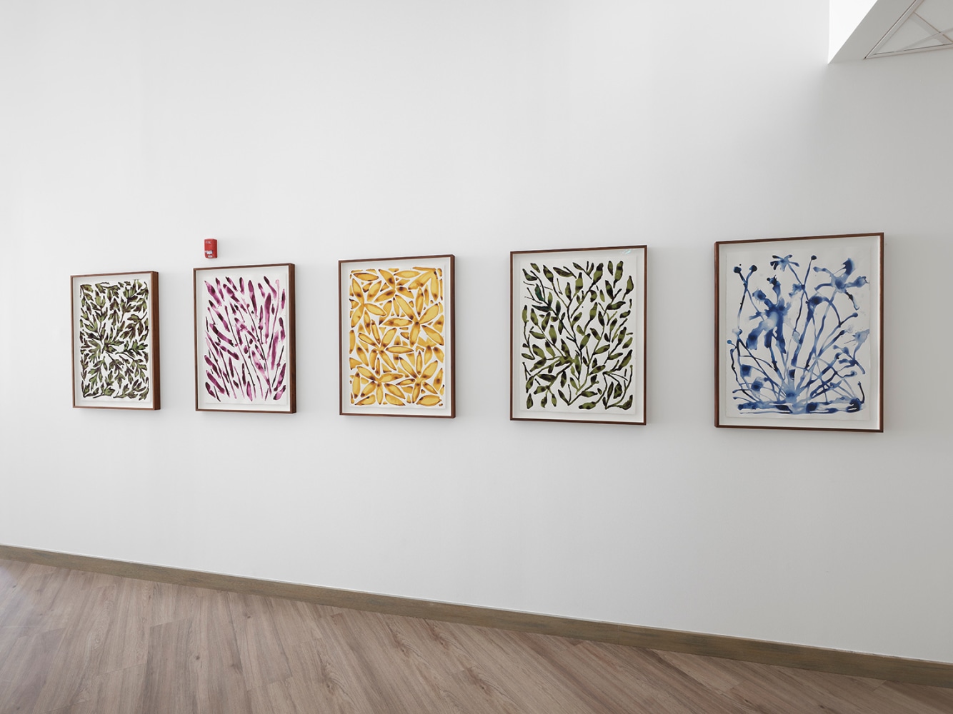 Saif Azzuz Rooted in the land, 2024 Site specific commission by Stanford​ School of Medicine 6 framed works on paper and 1 large-scale vinyl Vinyl: 28.3 x 45.5 ft Paper Dimensions: 30 x 20 1/8 inches, each 76.2 x 51.1 cm, each Framed Dimensions: 34 x 24 1/8 inches, each 86.4 x 61.3 cm, each