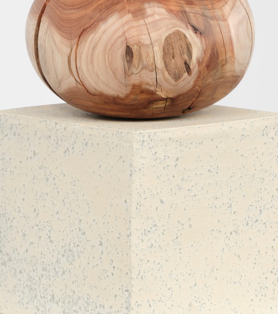 Jesse Schlesinger Solidity of bark, leaf, or wall, 2024 Glazed ceramic and acacia (salvaged) 20 x 12 x 12 inches 50.8 x 30.5 x 30.5 cm