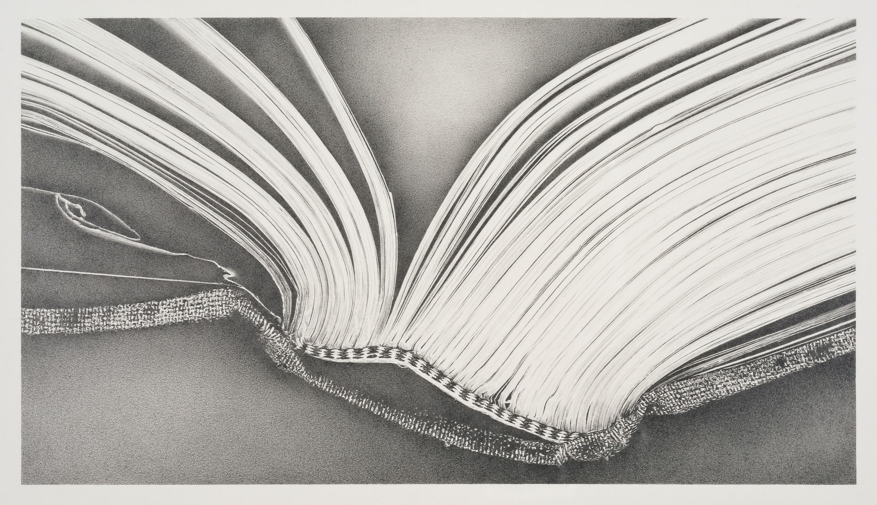 Rosana Castrillo Díaz, Untitled RCD# 5/2/2009, 2009