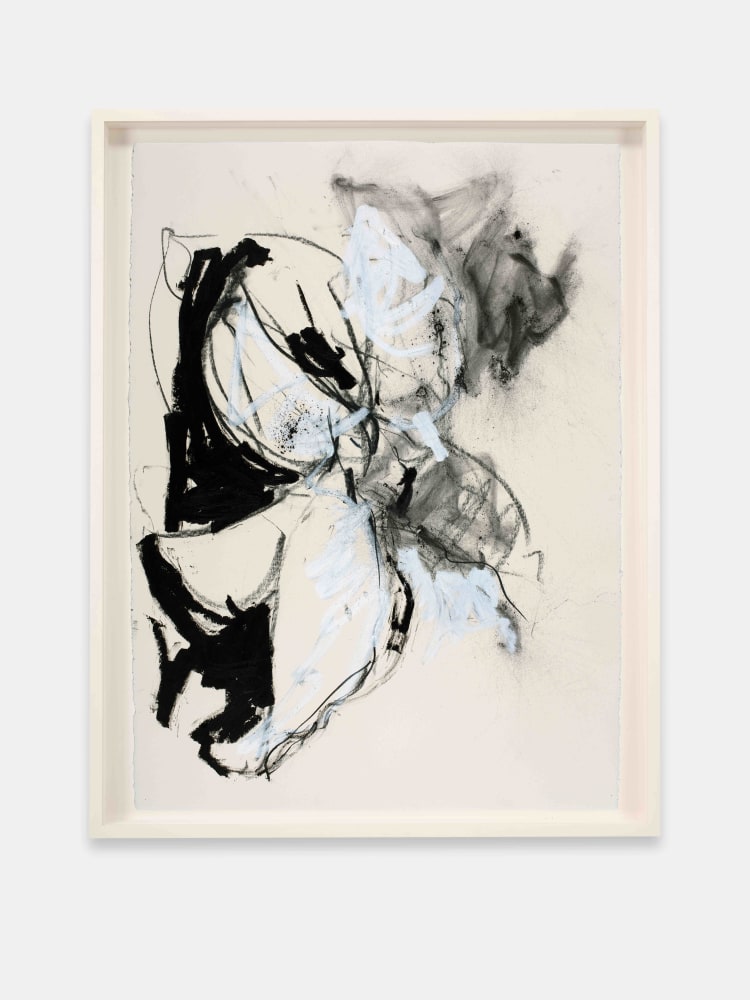 Joseph Havel, First Flowers (S.F.) 2, 2017