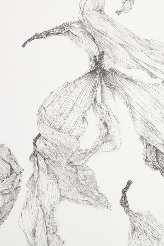 Rosana Castrillo Díaz, Untitled, 6/26/17, 2017