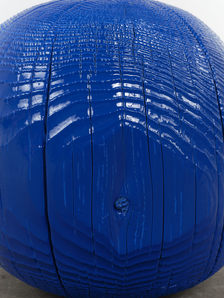 Jesse Schlesinger Untitled (c.o.), 2024 Monterey cypress, enamel paint 13 x 14 x 13 1/2 inches 33 x 35.6 x 34.3 cm