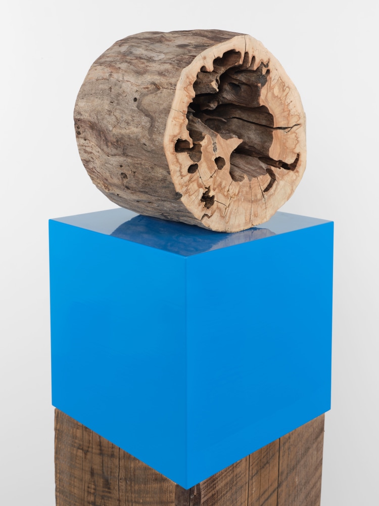 Jesse Schlesinger Untitled (Hope you went for a walk and the skies opened up and you got soaked and it was glorious), 2022 Found object (Sycamore), Redwood, enamel paint and fiberboard 66 x 12 x 12 inches 167.6 x 30.5 x 30.5 cm