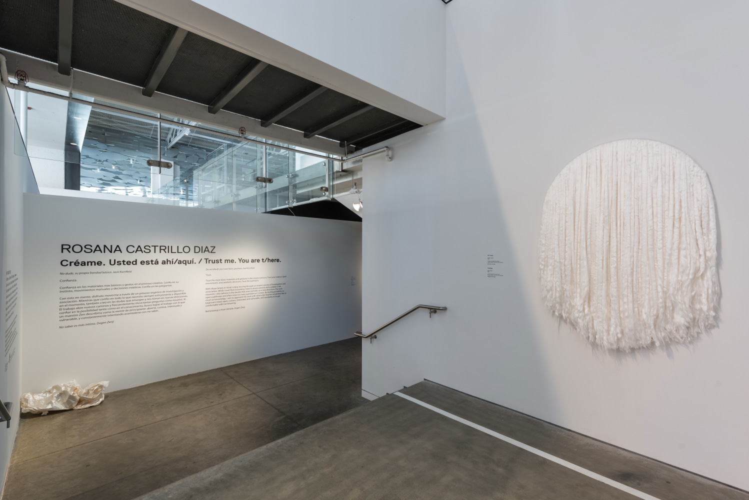 Rosana Castrillo Díaz, Untitled (April 19, 2019), 2019, ​Installation view from Rosana Castrillo Díaz: Trust me. You are t/here., CAM Raleigh, Raleigh, NC, 2019