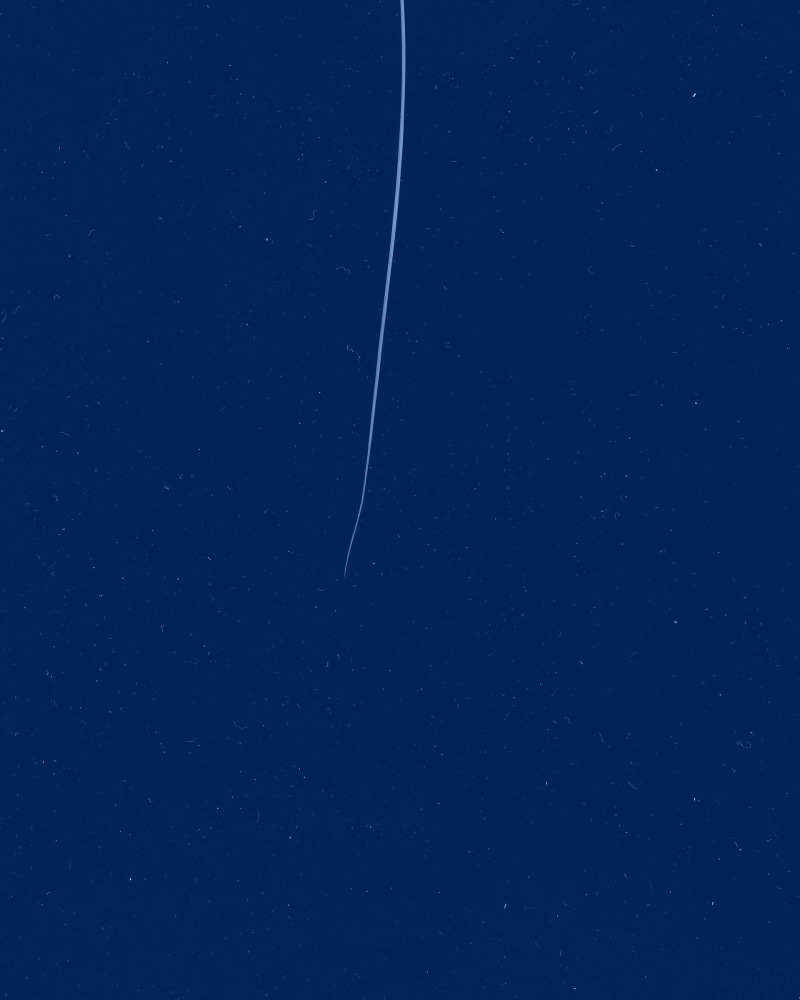 Kate Shepherd Little thread 1, Delft blue, 2022 Enamel on durabond panel 15 1/8 x 12 1/8 x 1/2 inches 38.4 x 30.8 x 1.3 cm  ON RESERVE