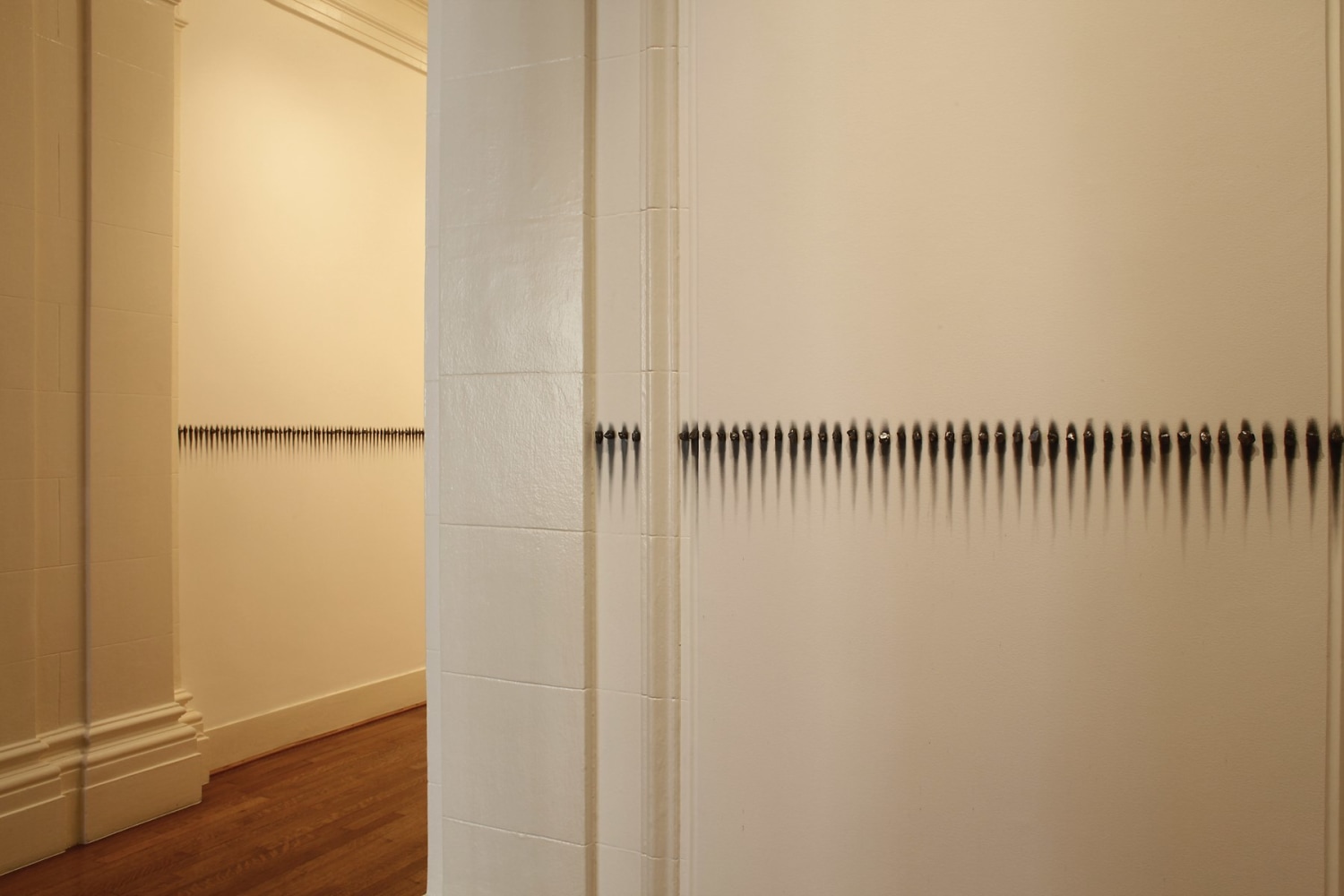 Teresita Fernández Sfumato (Horizon), 2010 Site-transferable installation, solid graphite and magnets Dimensions vary with installation