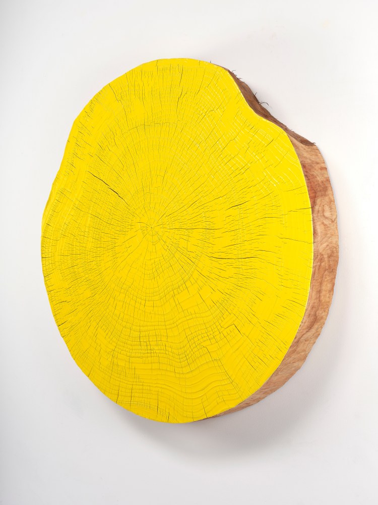 Jesse Schlesinger M. 04, 2024 Redwood (salvaged) and enamel paint 42 x 42 x 5 inches 106.7 x 106.7 x 12.7 cm