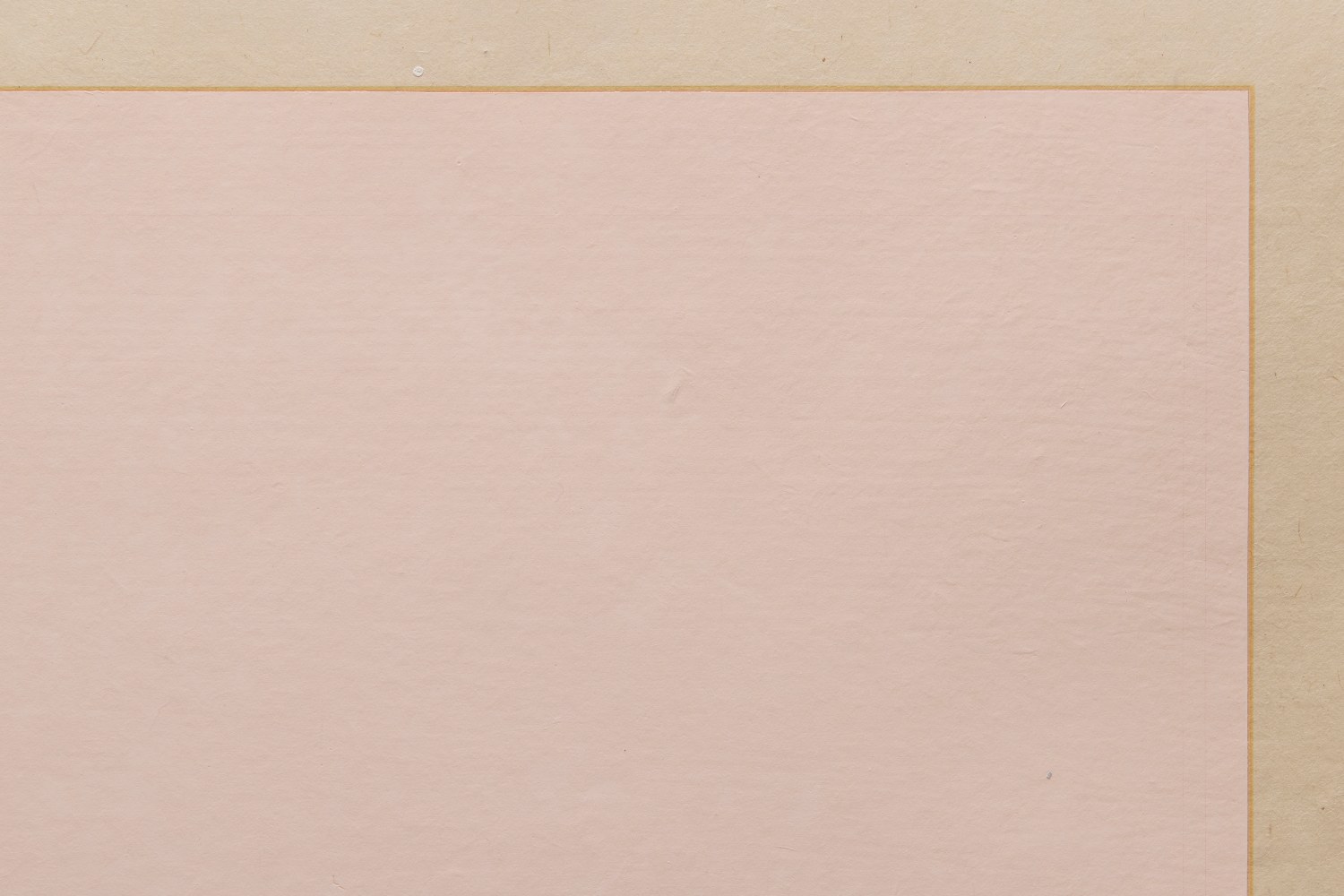 Marsha Cottrell Untitled (Pink), 2025 Archival pigment-based ink on digital ground on paper, unique Framed Dimensions: 36 1/8 x 52 1/2 x 1 3/4 inches 91.8 x 133.2 x 4.4 cm Paper Dimensions: 32 3/8 x 48 5/8 inches 82.1 x 123.5 cm