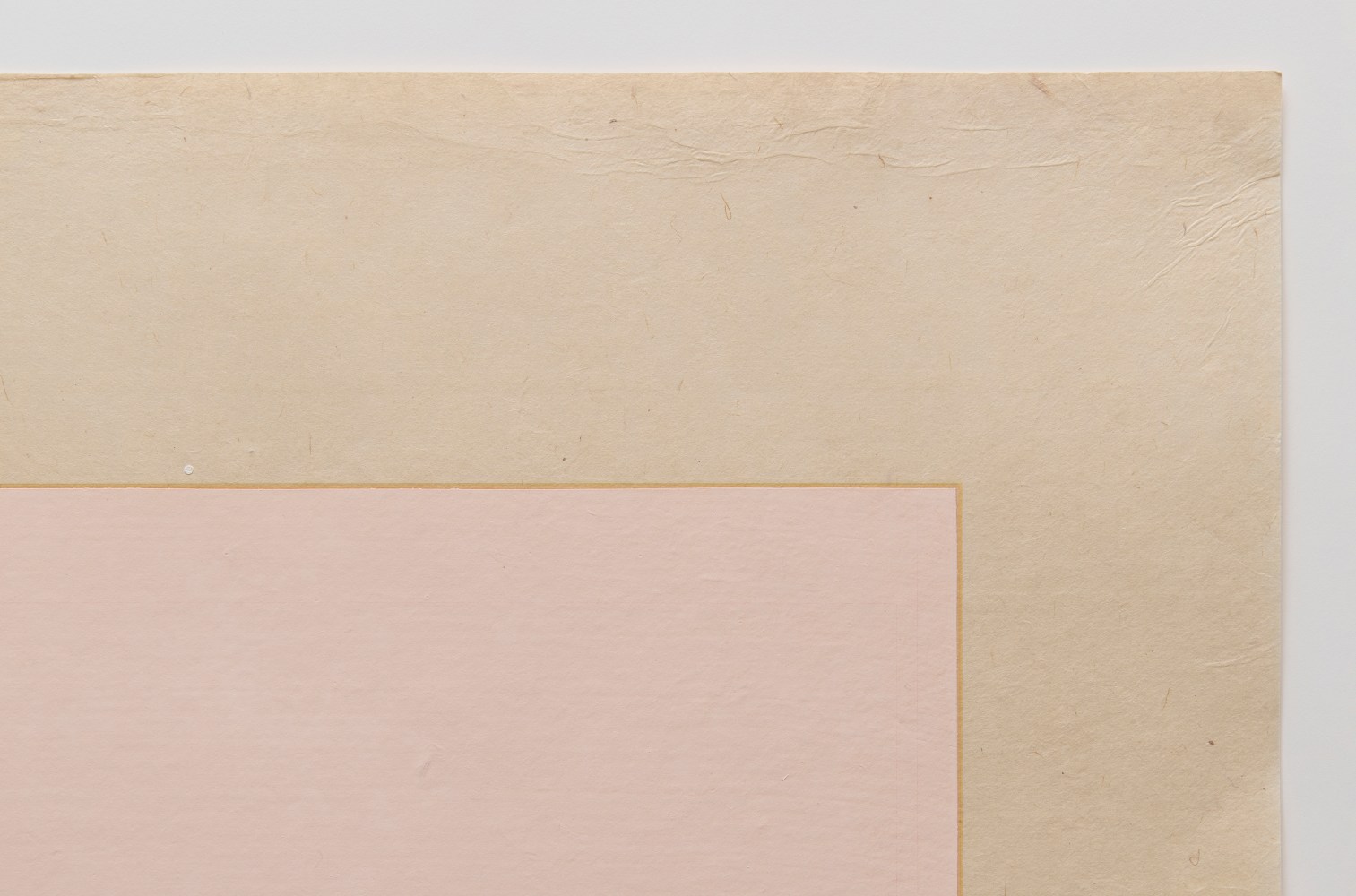 Marsha Cottrell Untitled (Pink), 2025 Archival pigment-based ink on digital ground on paper, unique Framed Dimensions: 36 1/8 x 52 1/2 x 1 3/4 inches 91.8 x 133.2 x 4.4 cm Paper Dimensions: 32 3/8 x 48 5/8 inches 82.1 x 123.5 cm