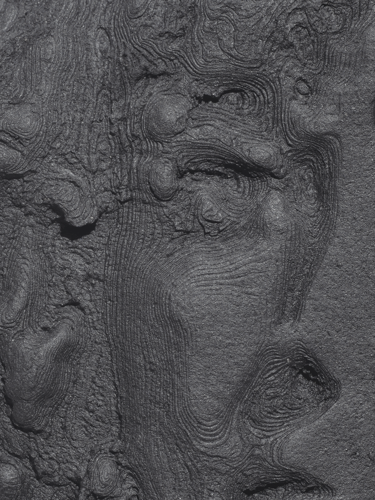 Erica Deeman

Untitled 02 (Self Portrait), 2020

Detail view

$6,500.