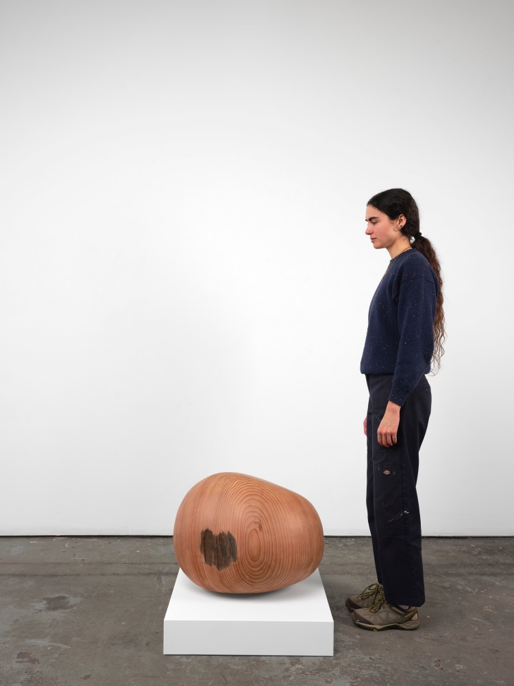 Jesse Schlesinger riprap of things., 2024 Redwood (salvaged) 18 x 19 x 24 inches 45.7 x 48.3 x 61 cm