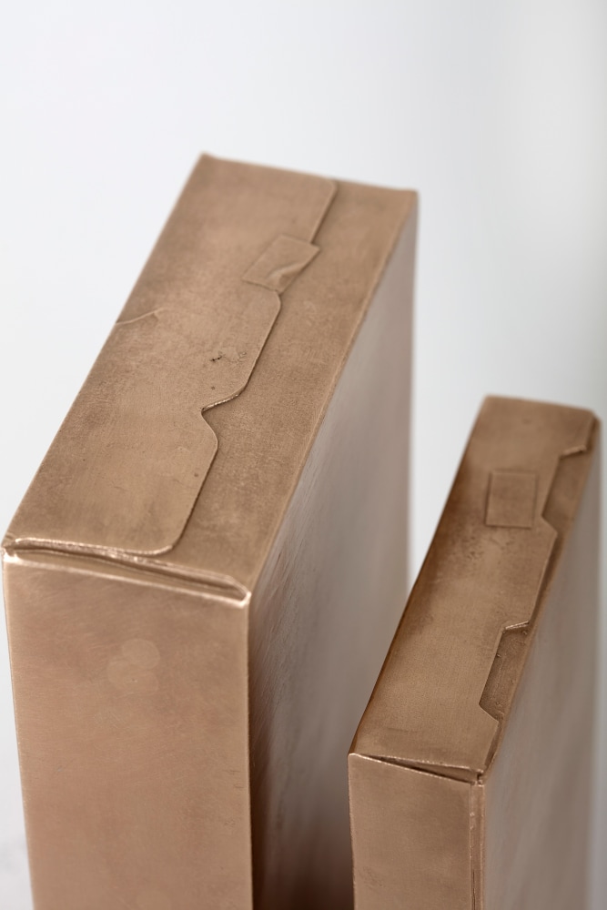 Kate Shepherd Monument, B : Shake'n Bake, All Bran, 1999 - 2016 Bronze Set of two 7 x 4 3/4 x 1 1/4 inches (17.8 x 12 x 3.2 cm) 8 5/8 x 5 1/2 x 2 inches (21.9 x 14 x 5.1 cm) Edition of 3