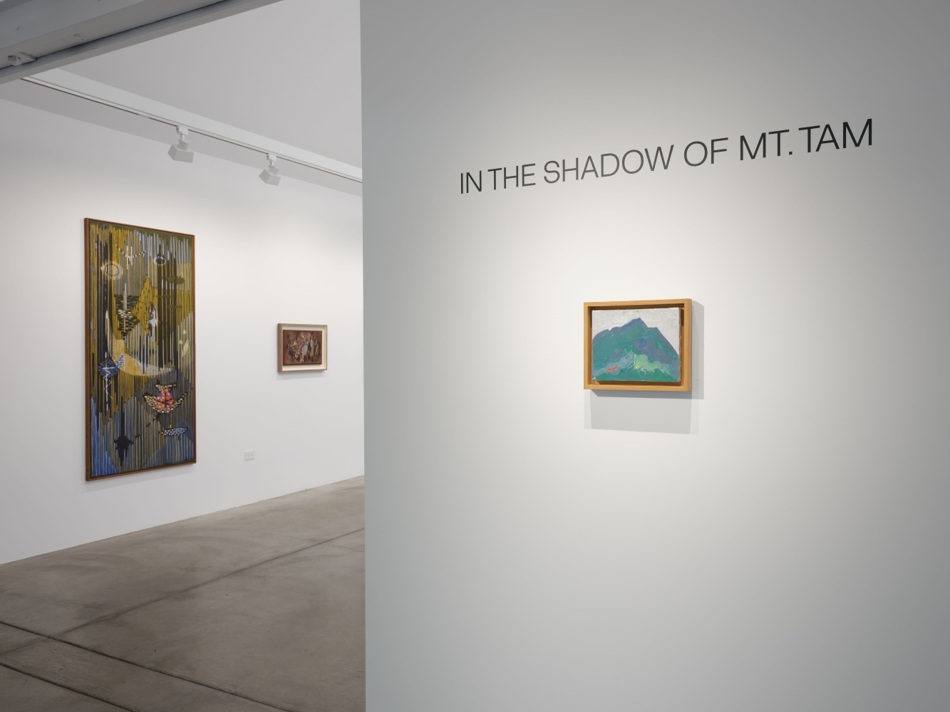 Anthony Meier In the Shadow of Mt Tam installation view