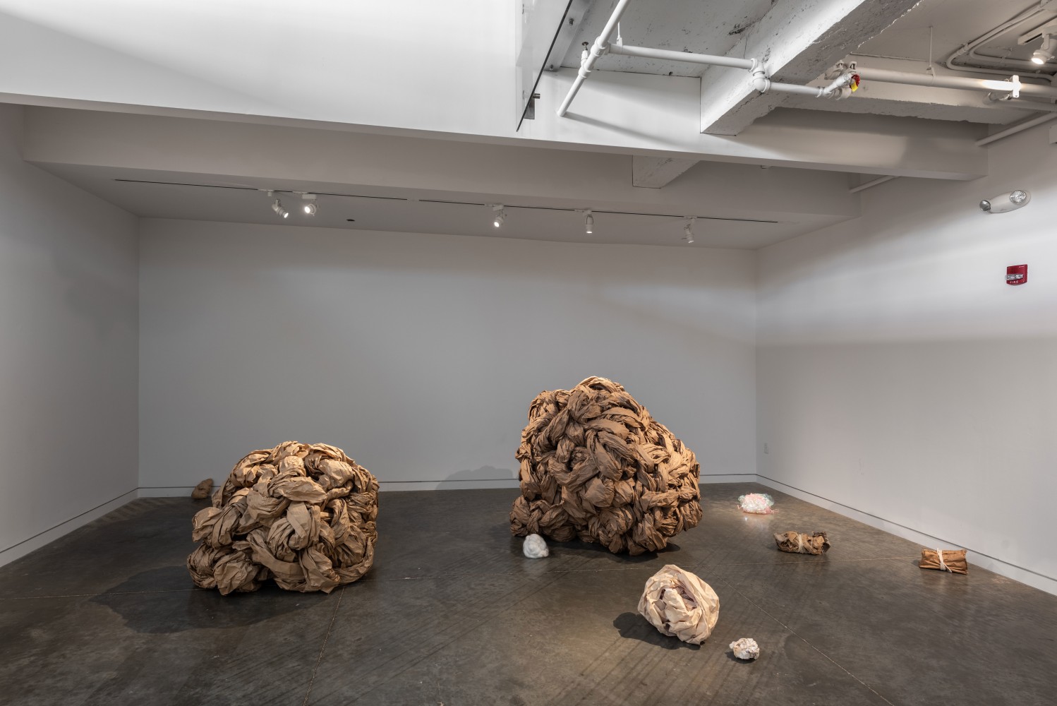 Rosana Castrillo Díaz: Trust me. You are t/here CAM Raleigh, Raleigh, NC, 2019