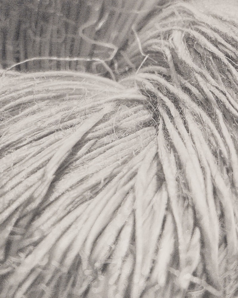 Rosana Castrillo Díaz 10/26/23, 2023 Graphite on paper Framed Dimensions: 19 7/8 x 18 3/8 x 1 1/2 inches 50.5 x 46.7 x 3.8 cm Paper Dimensions: 17 x 15 inches 43.2 x 38.1 cm