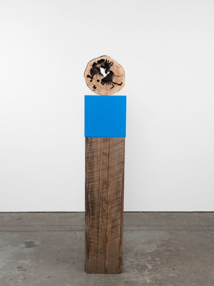 Jesse Schlesinger
Untitled (Hope you went for a walk and the skies opened up and you got soaked and it was glorious), 2022
Found object (Sycamore), Redwood, enamel paint and fiberboard
66 x 12 x 12 inches
167.6 x 30.5 x 30.5 cm

$12,000